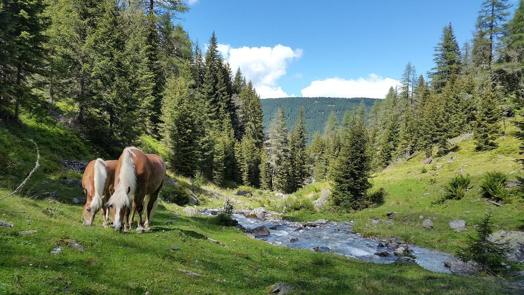 Gaestepension Klammer Kartitsch Dış mekan fotoğraf